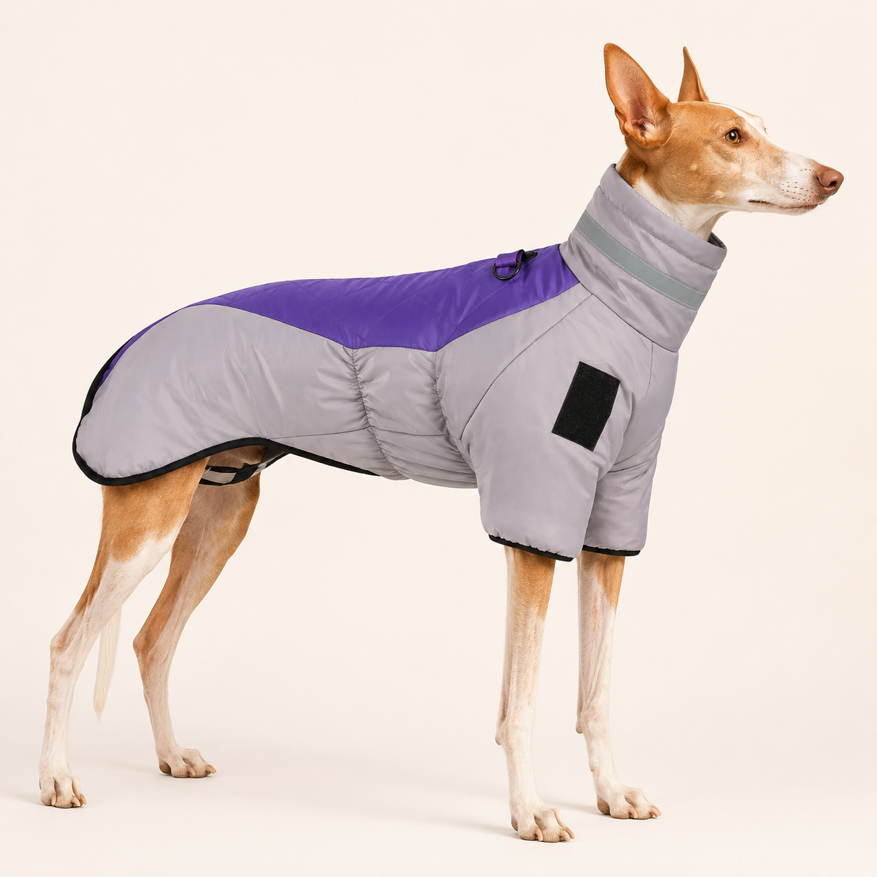 Abrigo Impermeable de Invierno para Perros — Cuello Reflectante