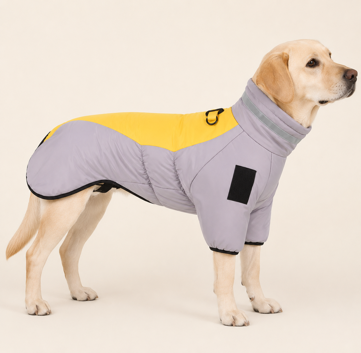 Abrigo Impermeable de Invierno para Perros — Cuello Reflectante